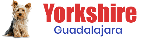 Yorkshire en Guadalajara